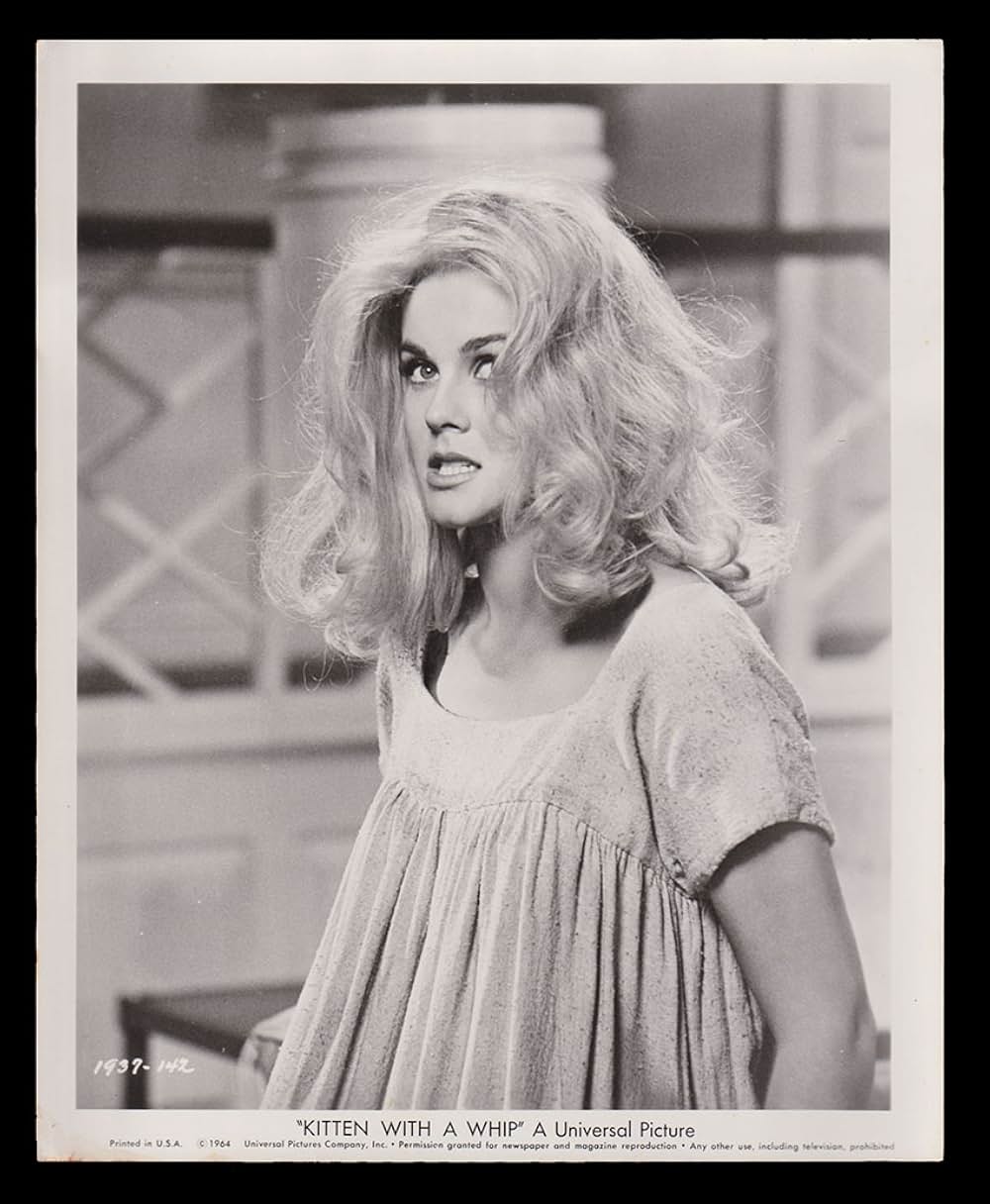 セクシー・ダイナマイトの画像