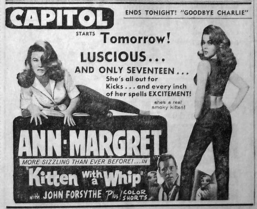 セクシー・ダイナマイトの画像