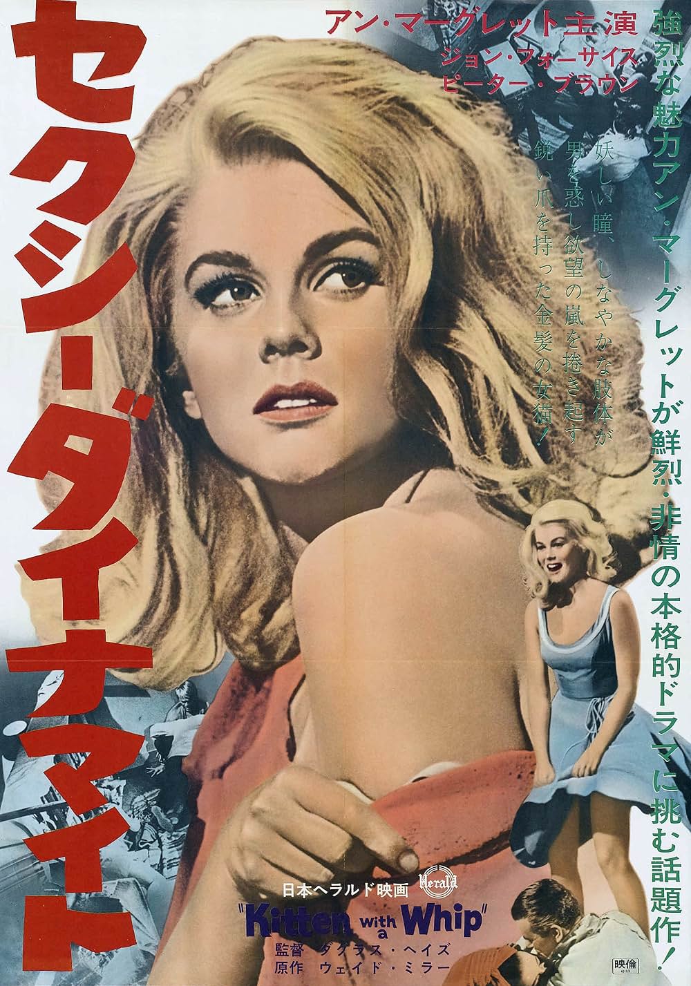 セクシー・ダイナマイトの画像