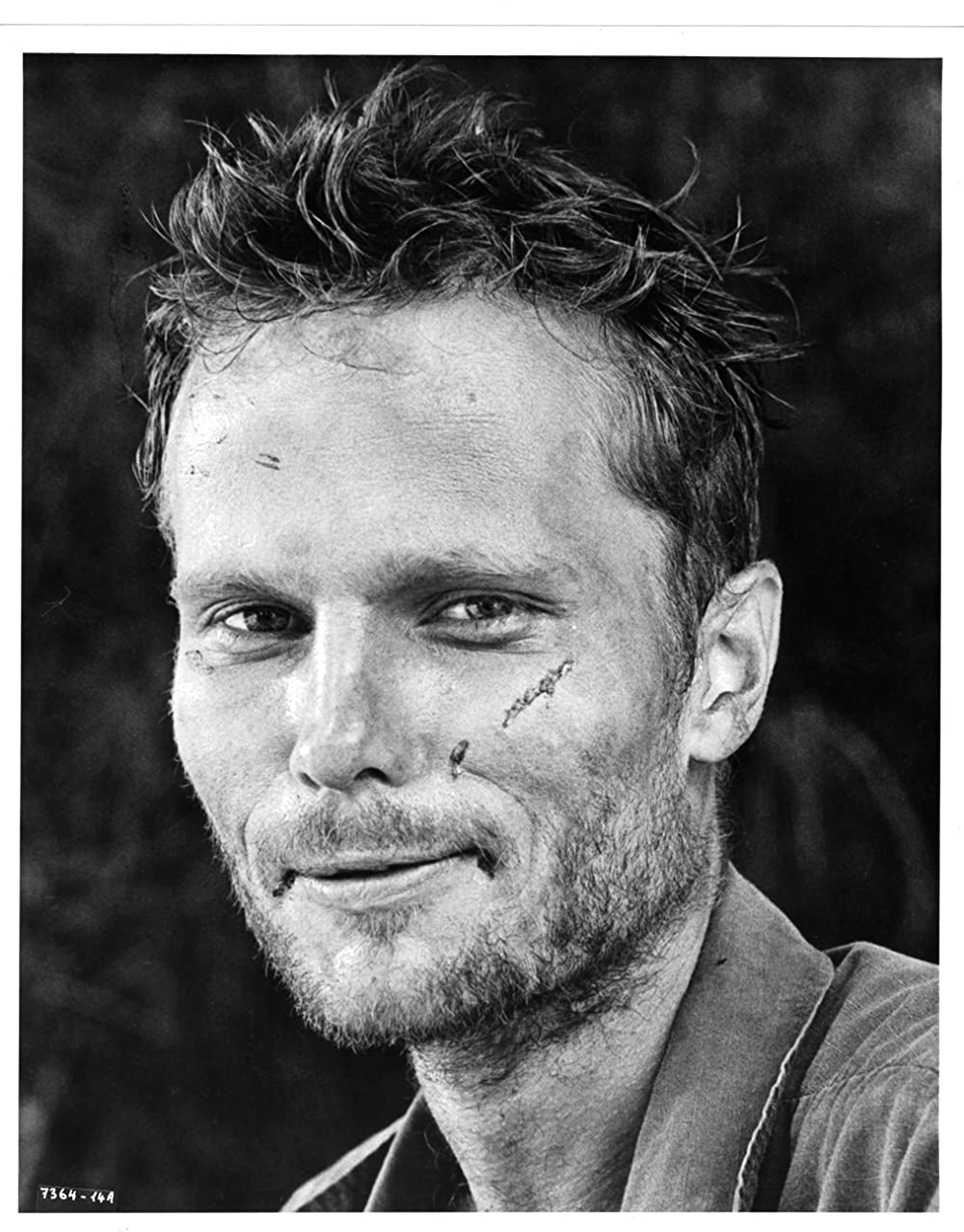 ディア・ハンターの画像