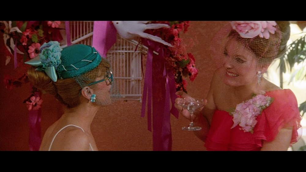 突撃！O・Cとスティッグス／お笑い黙示録の画像