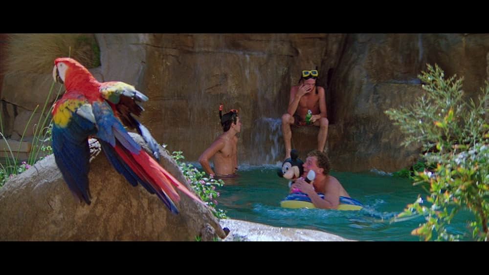 突撃！O・Cとスティッグス／お笑い黙示録の画像