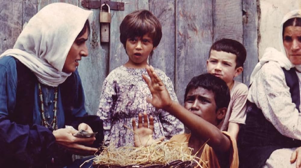 バシュー、小さな異邦人の画像