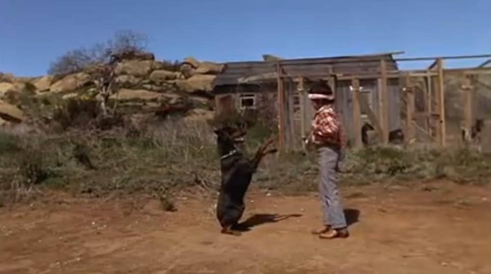 ドーベルマン・ギャング2の画像