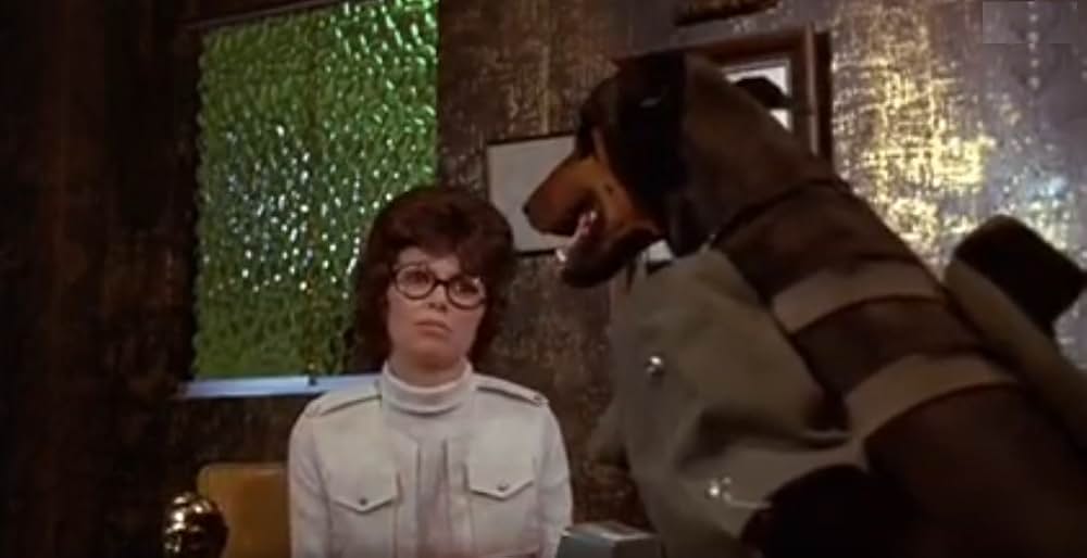 ドーベルマン・ギャング2の画像