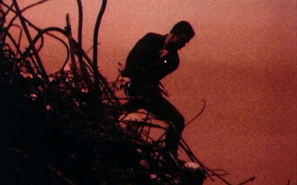 ラスト・オブ・イングランドの画像