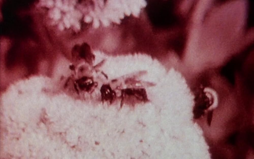 ラスト・オブ・イングランドの画像