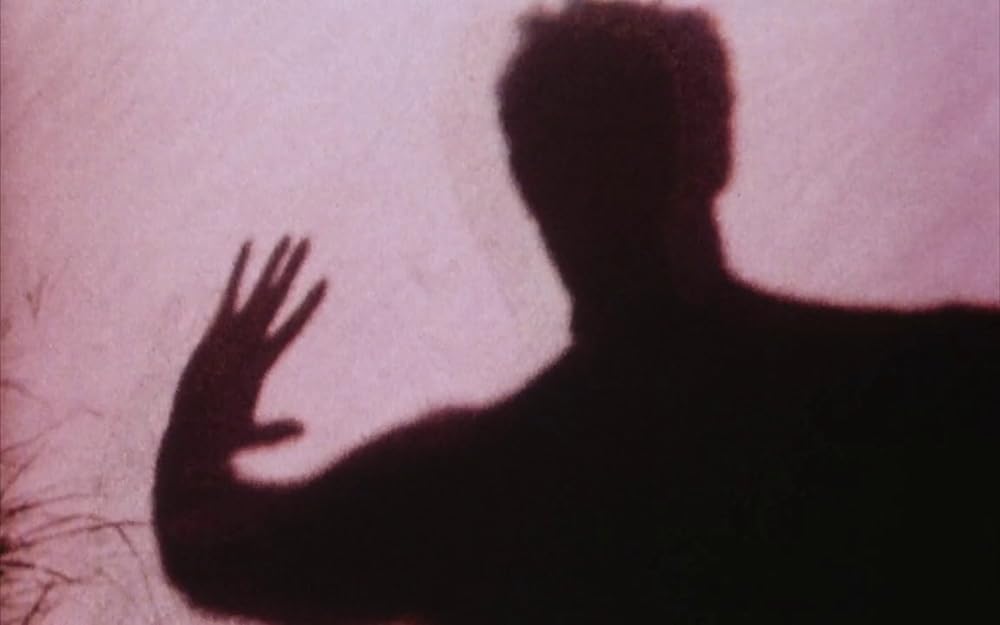 ラスト・オブ・イングランドの画像