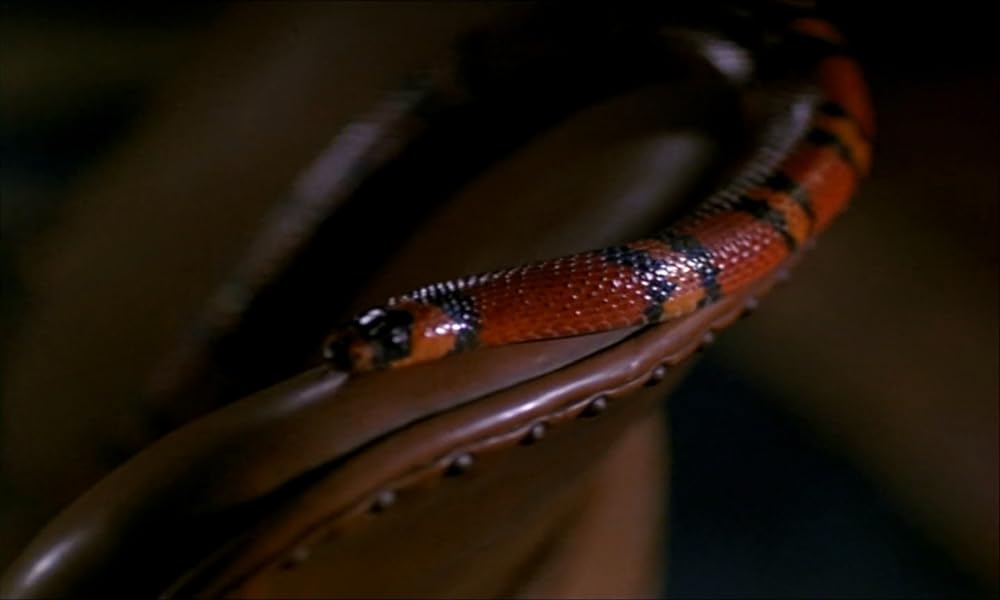 ミッドナイトチェイサーの画像