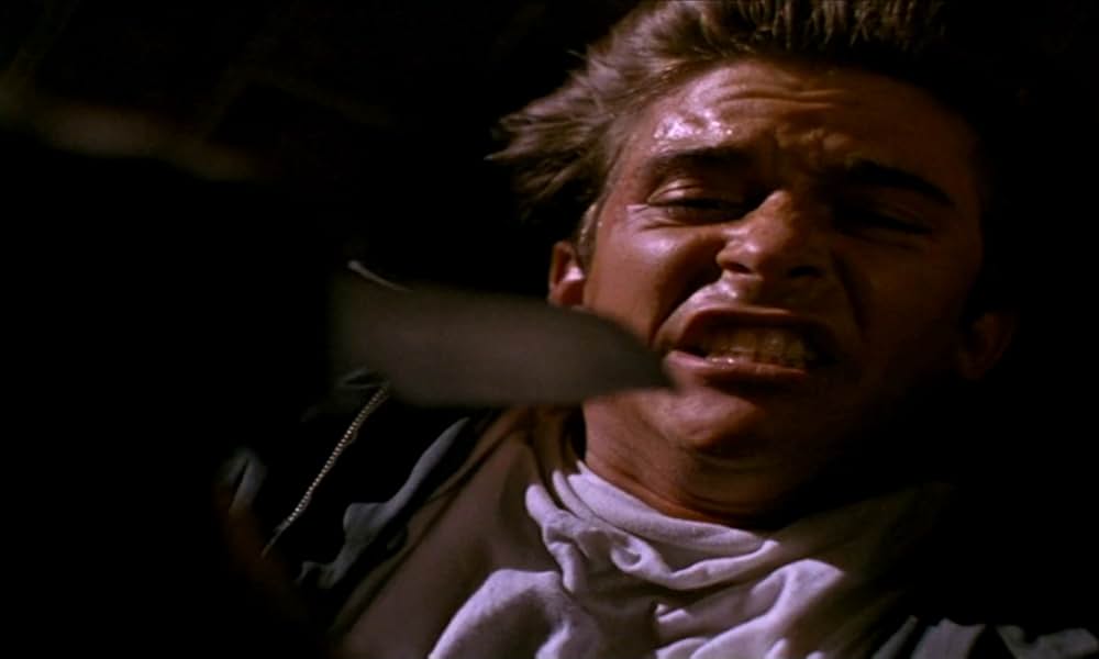 ミッドナイトチェイサーの画像