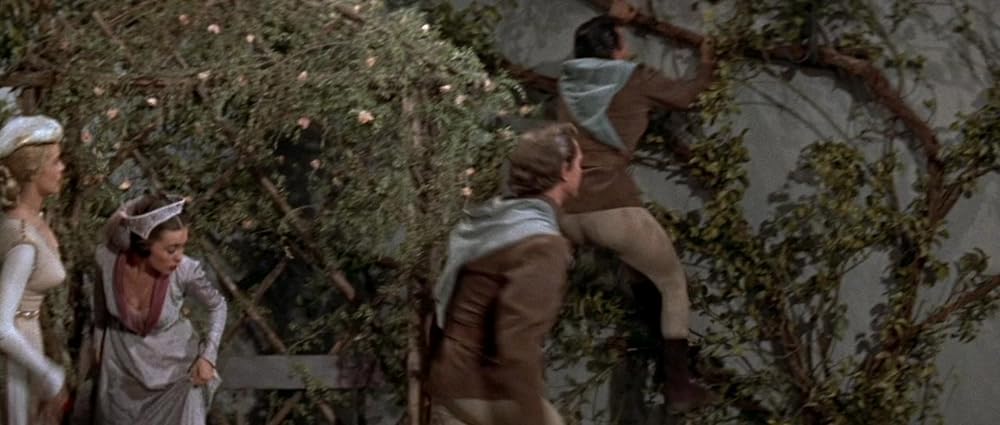 フォルウォスの黒楯の画像