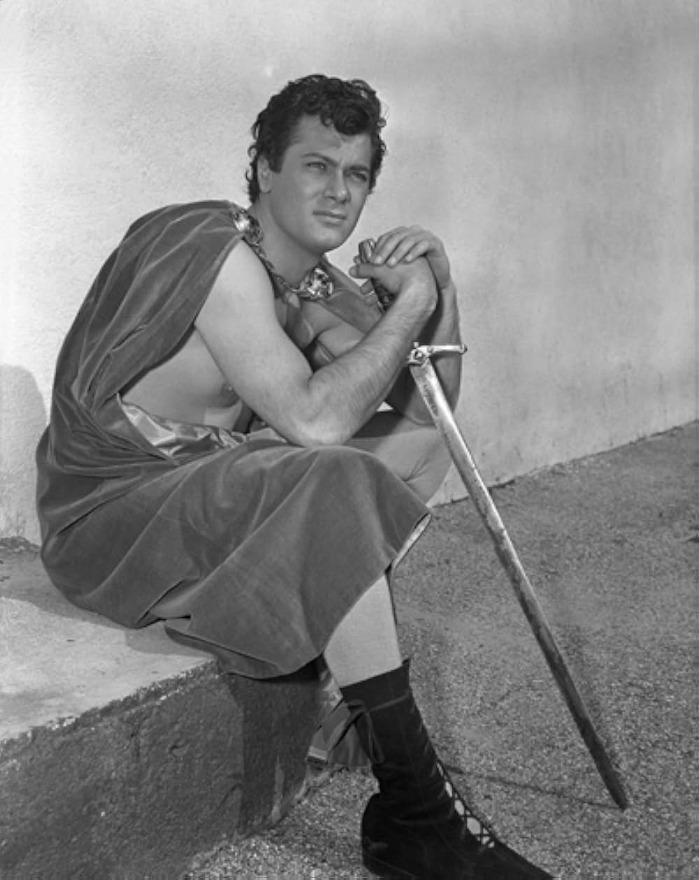 フォルウォスの黒楯の画像