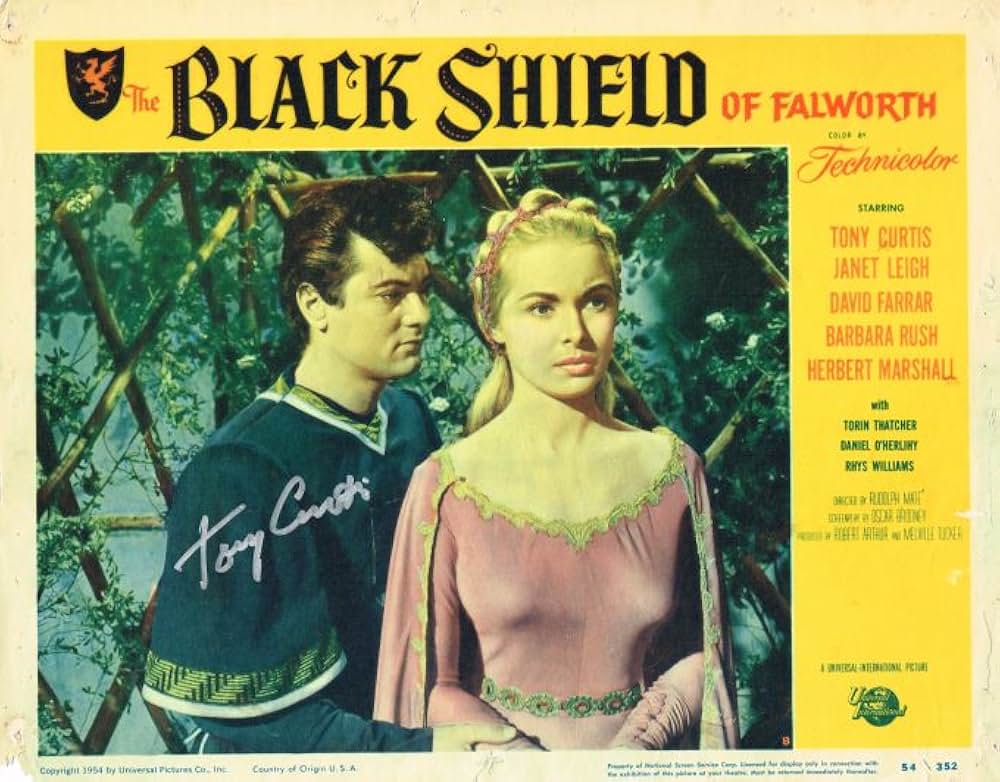 フォルウォスの黒楯の画像