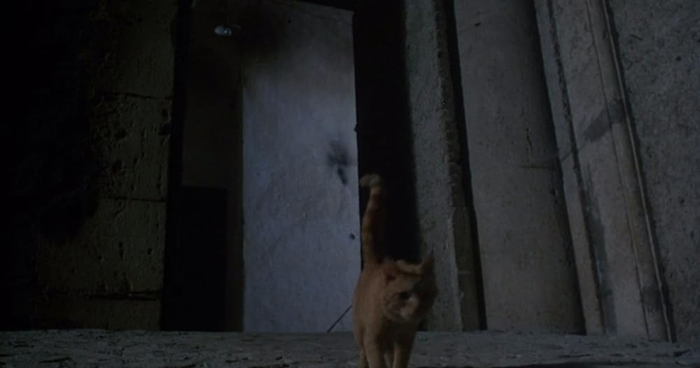 キャッスル・フリークの画像