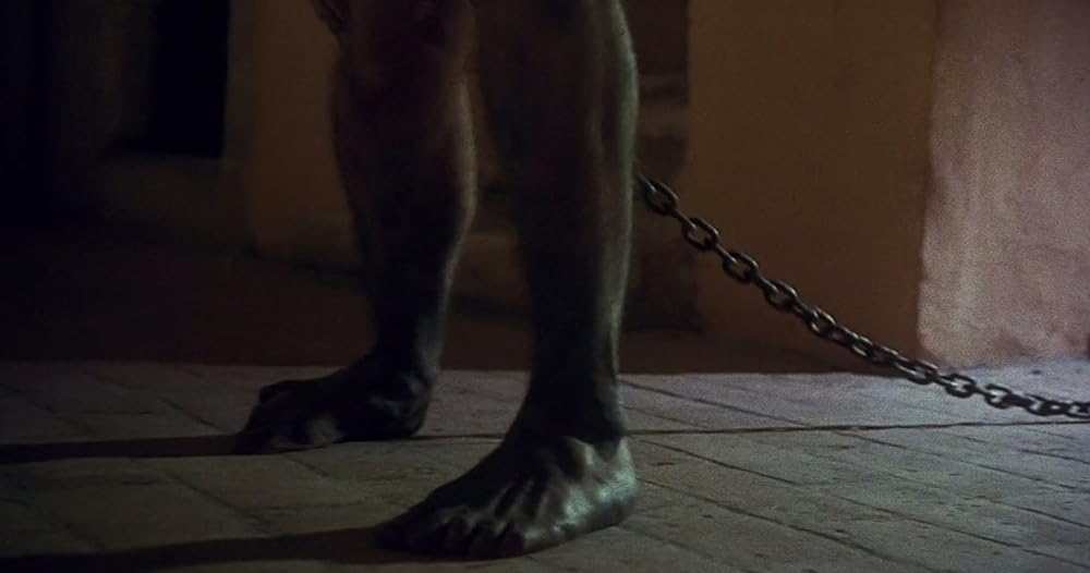 キャッスル・フリークの画像