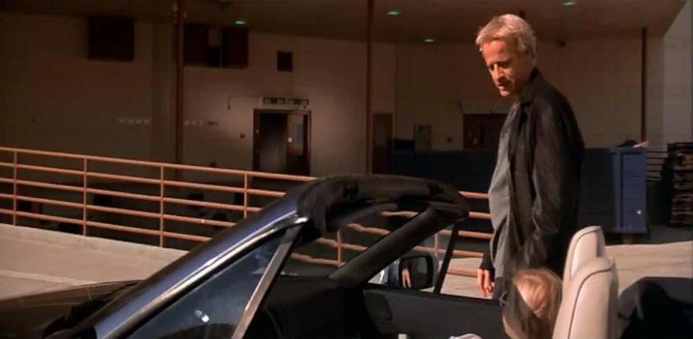 ワイルド・ガンの画像