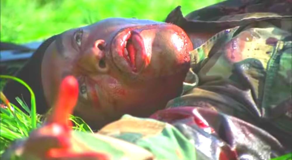 プテラノドンの画像