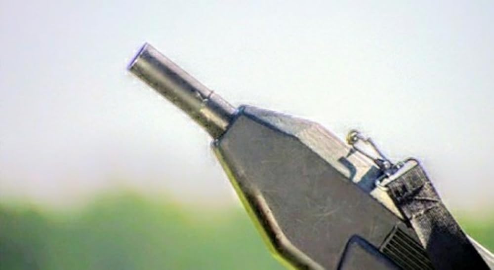 プテラノドンの画像