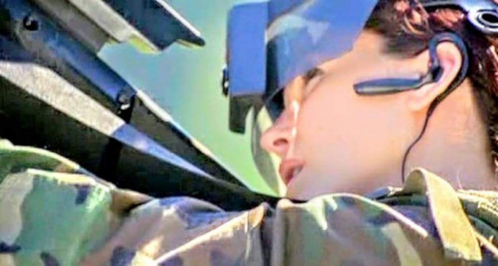 プテラノドンの画像