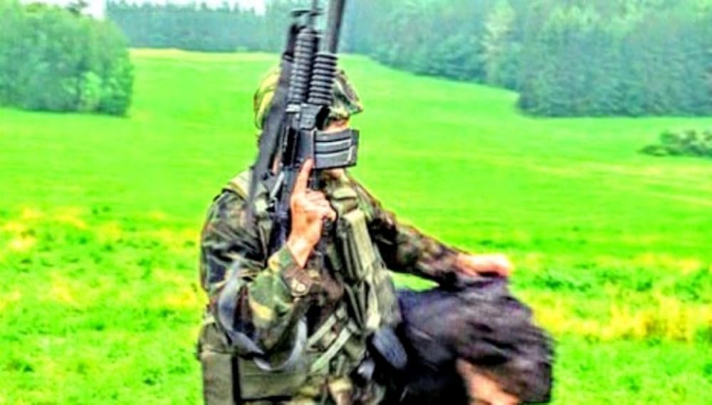 プテラノドンの画像