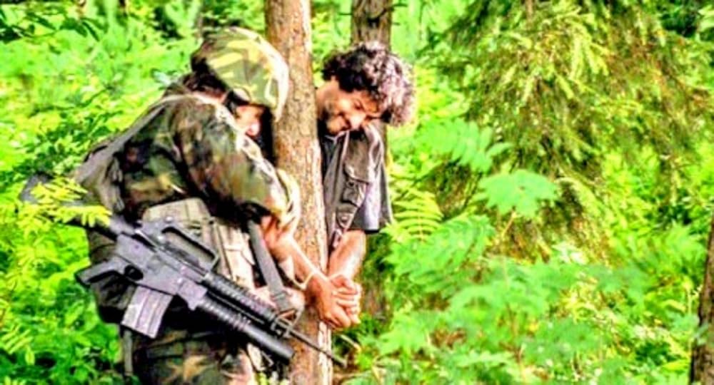 プテラノドンの画像