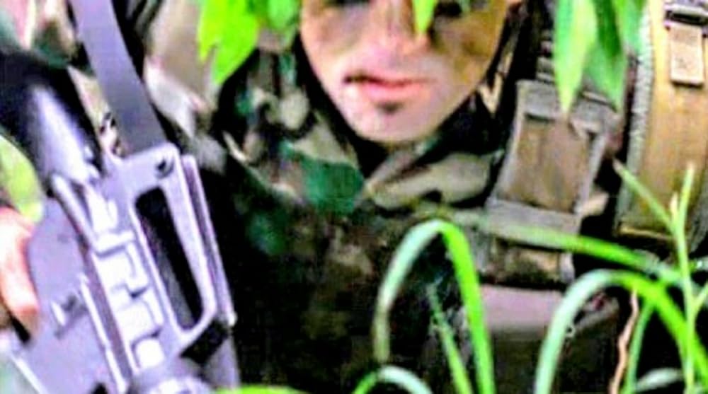 プテラノドンの画像