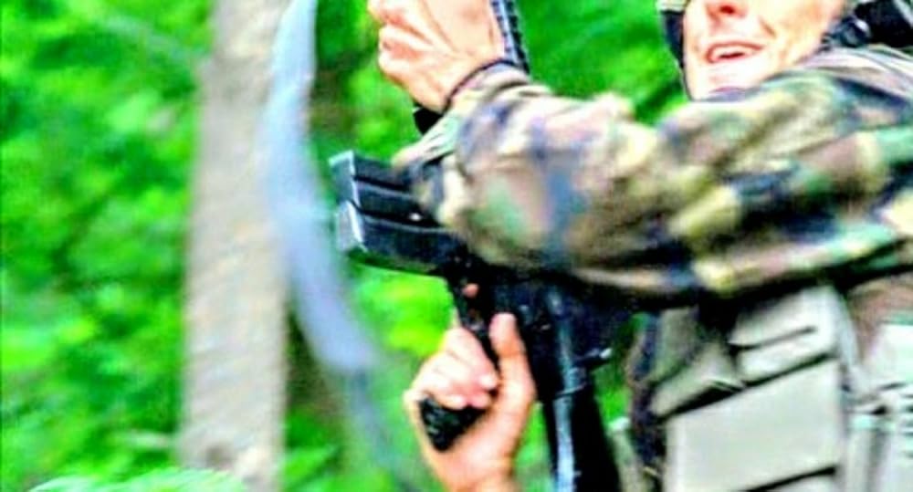 プテラノドンの画像