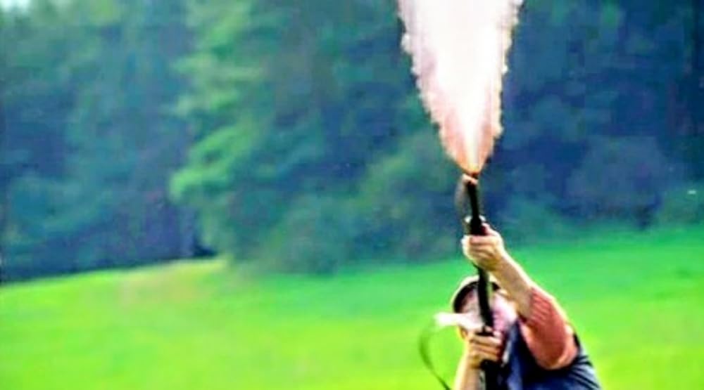 プテラノドンの画像