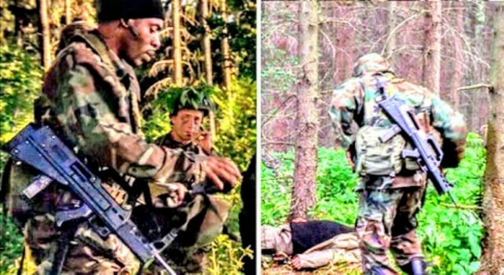 プテラノドンの画像