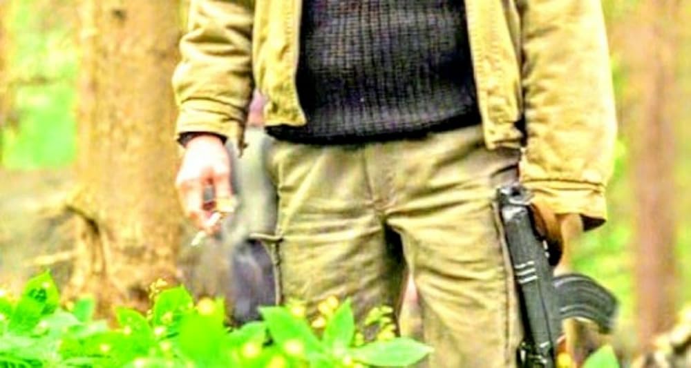 プテラノドンの画像