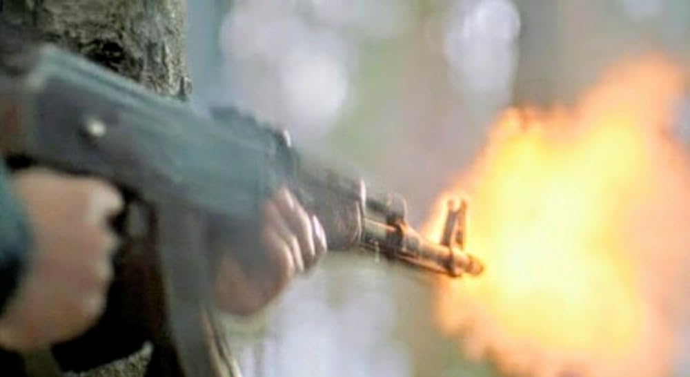 プテラノドンの画像