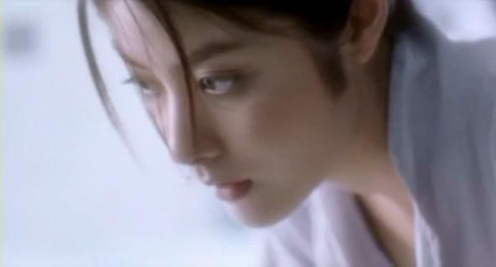 ヴァーチャル・シャドー／幻影特攻の画像