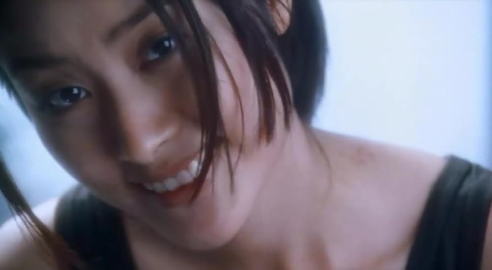 ヴァーチャル・シャドー／幻影特攻の画像