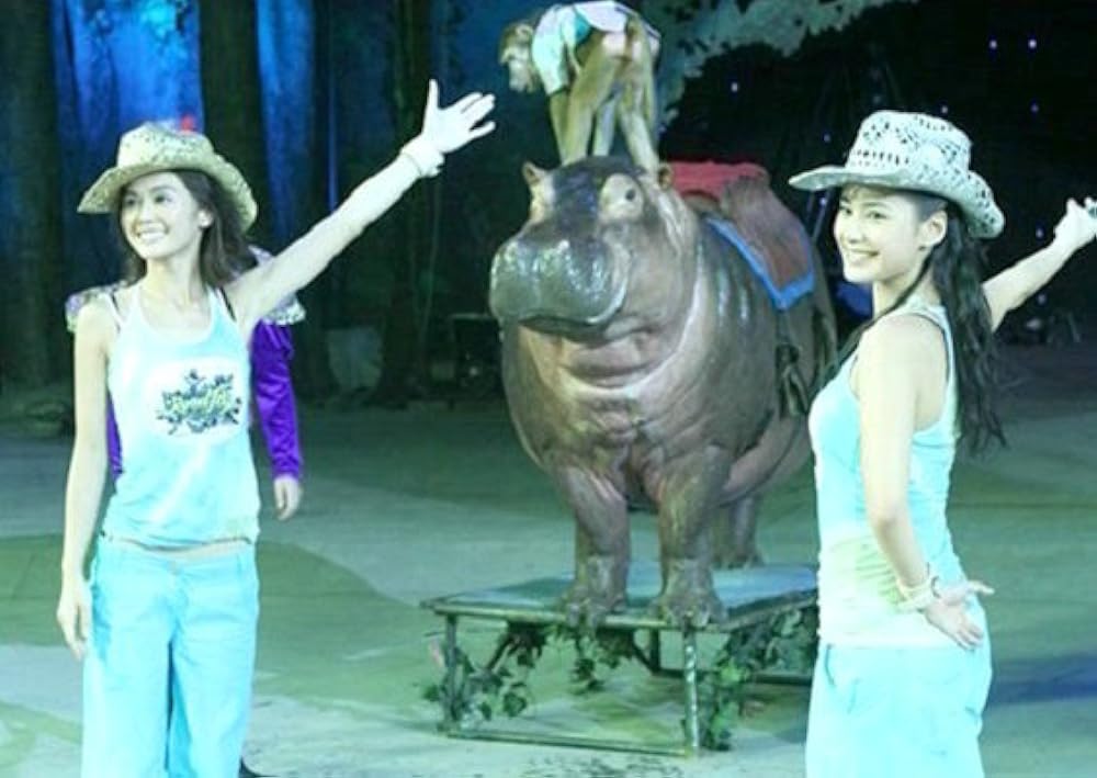 ツインズ・ミッションの画像