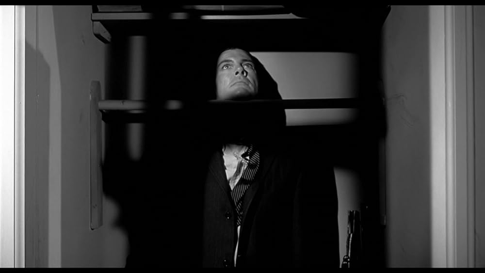 ヴィンセント・プライスのザ・バットの画像