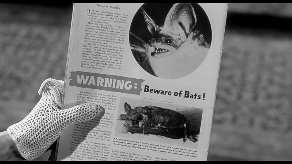 ヴィンセント・プライスのザ・バットの画像