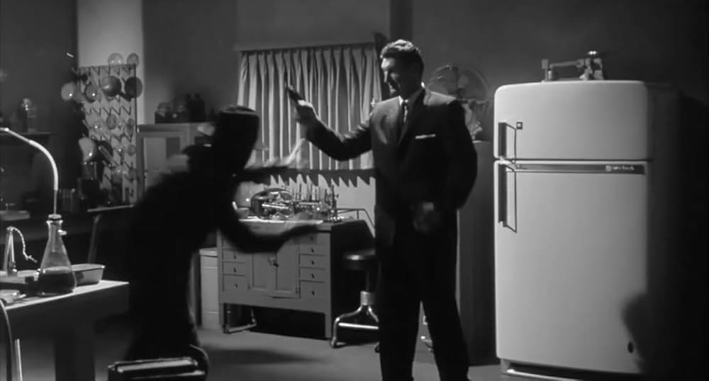 ヴィンセント・プライスのザ・バットの画像