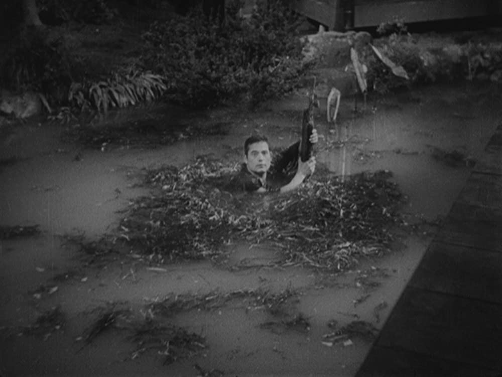 姿三四郎 解説・レビュー・評価 映画ポップコーン