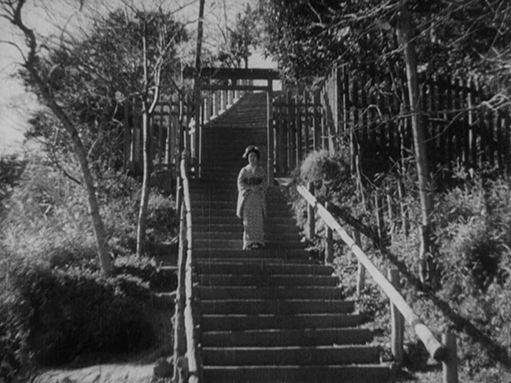 姿三四郎の画像