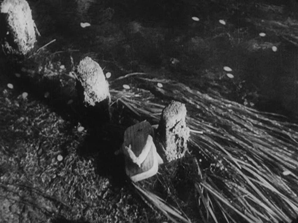 姿三四郎の画像