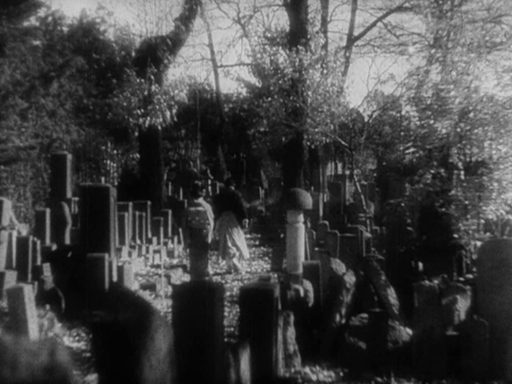 續姿三四郎の画像