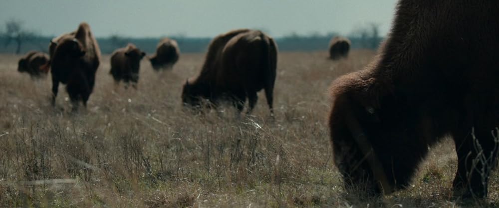 ヘヴィ・ドライヴの画像