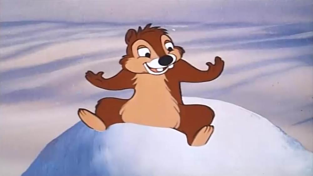 リスの住宅難の画像