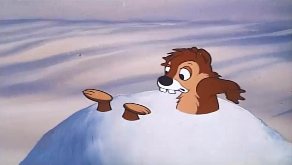 リスの住宅難の画像