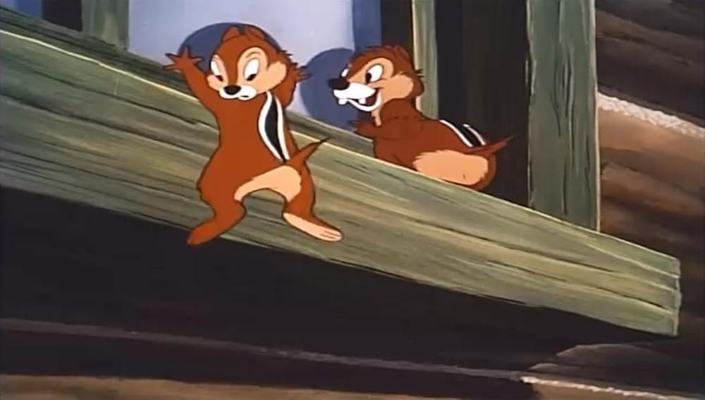 リスの住宅難の画像