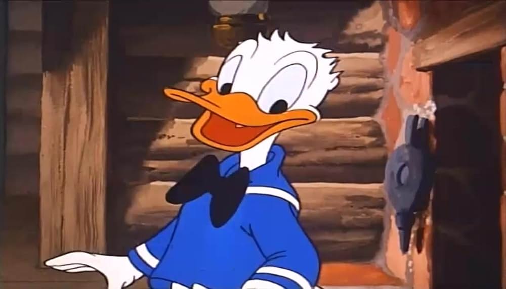 リスの住宅難の画像