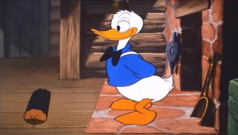 リスの住宅難の画像