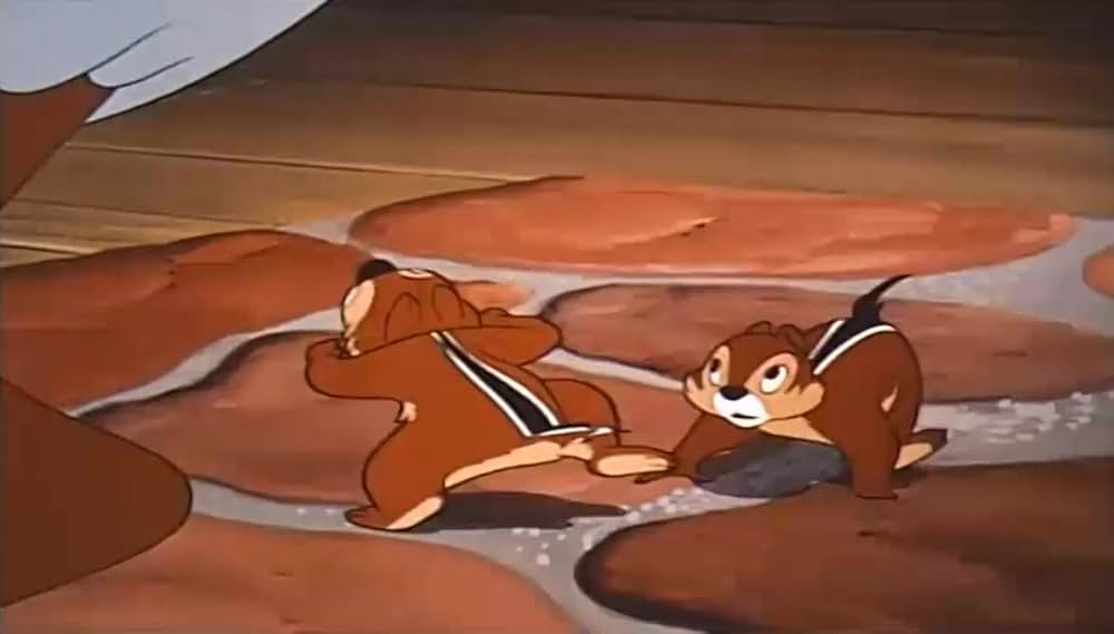 リスの住宅難の画像