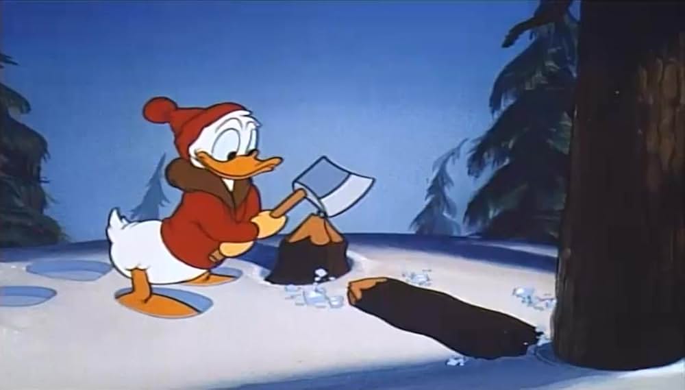 リスの住宅難の画像