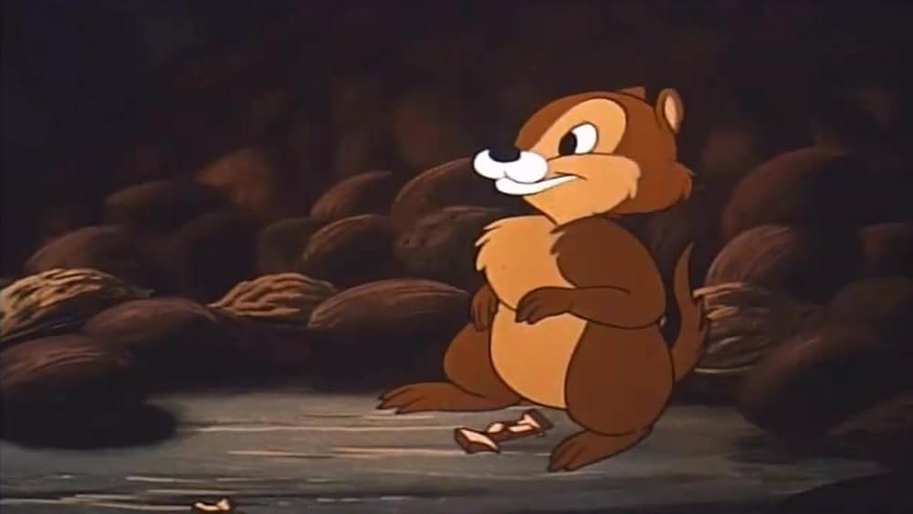 リスの住宅難の画像